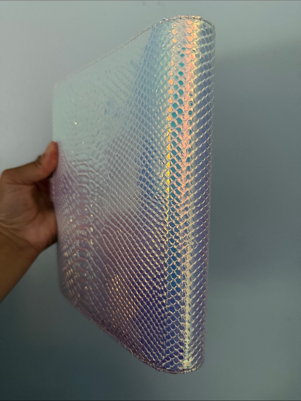 Iridescent Snake-Embossed Planner - Picture 8 of 10